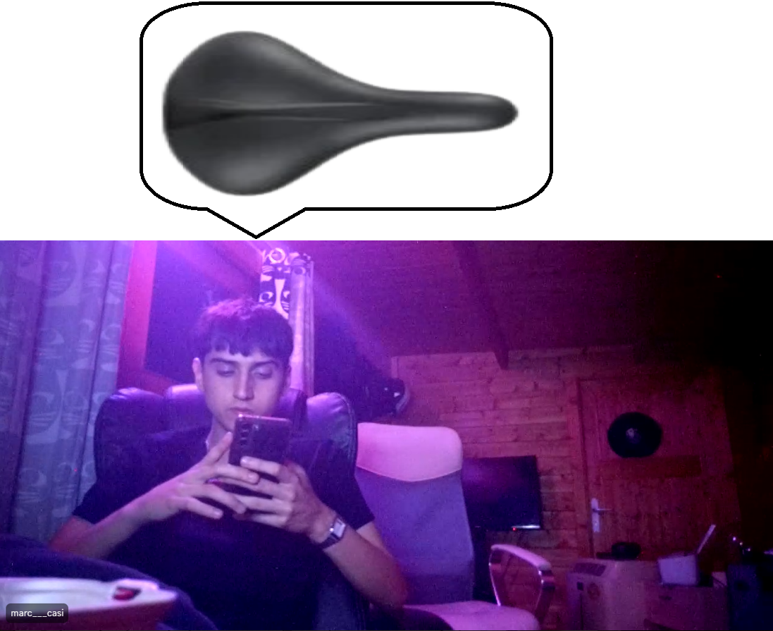 cara sillin.png